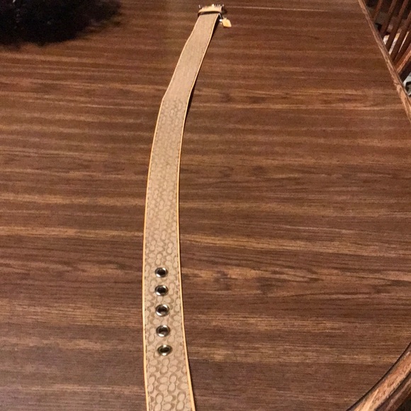 Coach belt - Picture 2 of 7